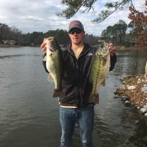 Meet your Posher, Blake